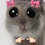 leuda 
