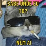 kenga
