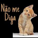 não me diga