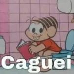 onça