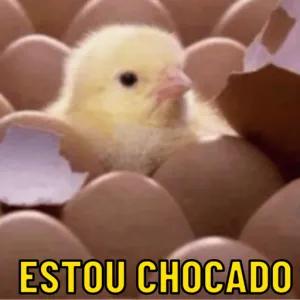ESTOU CHOCADO - getsticker.com