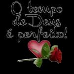  Deus te
proteja e te
abençoe