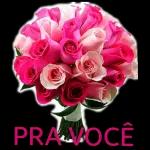 Flores 🌹🌹
