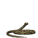 ksjyresa