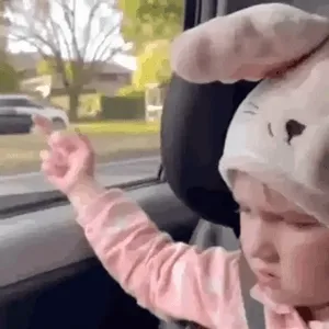 6zcdy2b