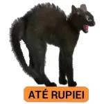 a culpa e sua 