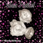 Boa Noite! Flores Que Me Encantam