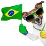 seleção brasileira