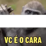 novo 2