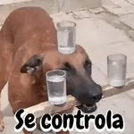 novo 2