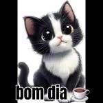 bom dia