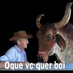 beijinhos