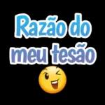 Notificação Preferida