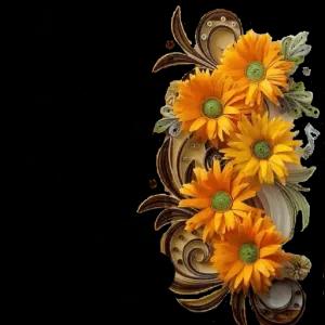 BOA noite - 1  - getsticker.com