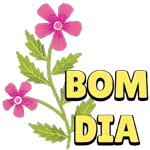 Arrasou