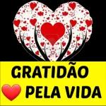 gratidão 