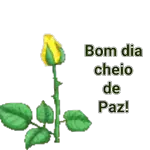 Que seu dia seja abençoado!