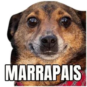 HpeYKF