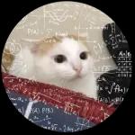 Gatos
