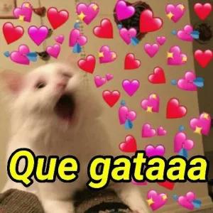 GkkYgO