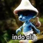 ali