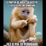 grupos
