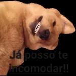 quem ?