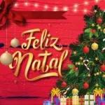Feliz 25 de dezembro❣️