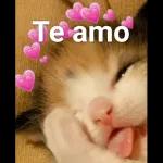 GRACIAS Cosita hermosa