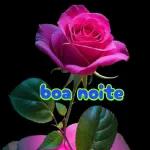 princesa