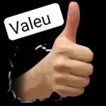 DE NOVO?