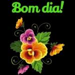 Bom dia