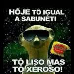 entrega 