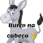 policia 