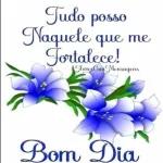 bom dia