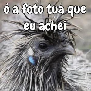 ó a foto tua que eu achei - getsticker.com