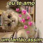faz meu pix