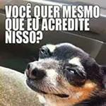 Qui papelão em