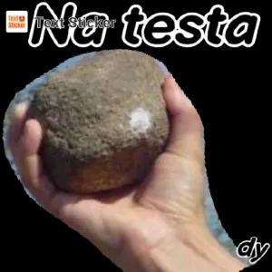 Na testa - getsticker.com