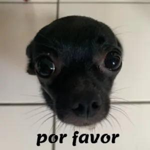 aempb9