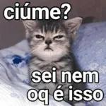 ciumes