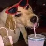 VOU DORMIR