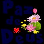 Parcela em
5 vezes