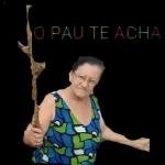 corta 