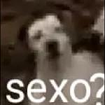 sexo?