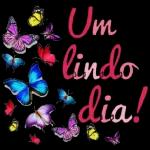 feliz día Mi colección