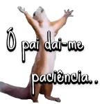 figurinha 