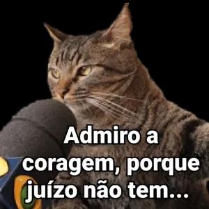 Admiro a coragem, porque juízo não tem... - getsticker.com