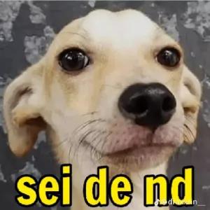 1d6qiK