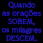 animes